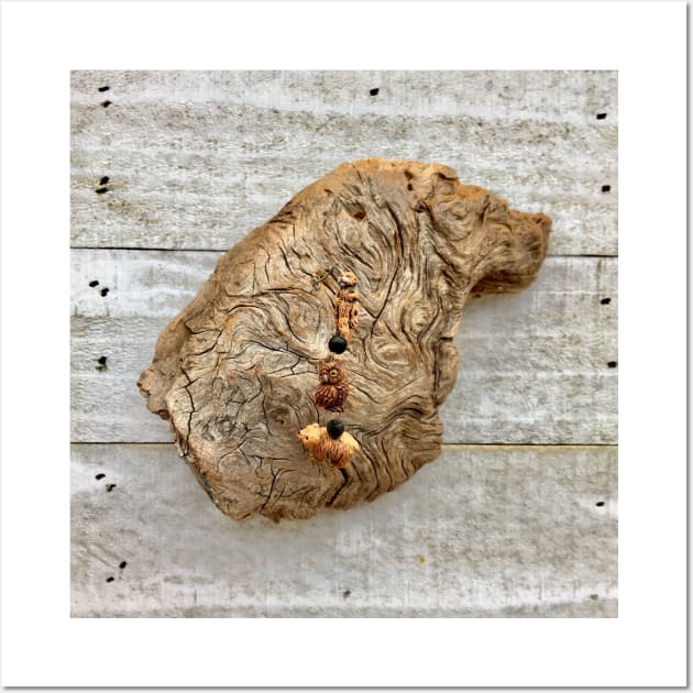 Driftwood Wall Art by Laura Brightwood